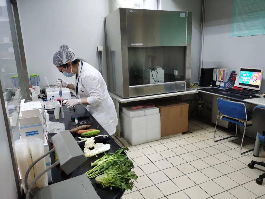 海南藏族食品检测实验室装修方案
